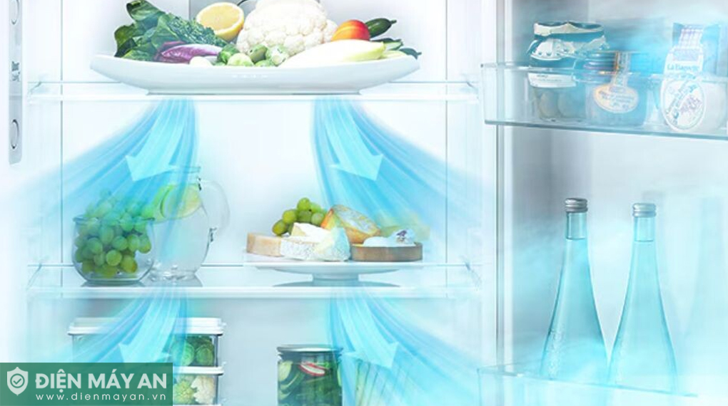 Tủ lạnh LG 217 lít LTB21BLMD